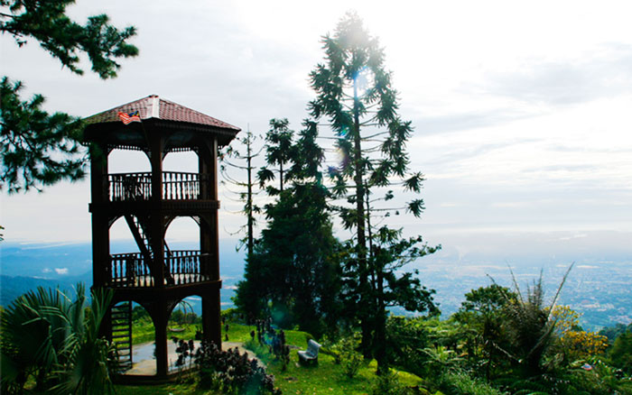 bukit-larut-1.jpg