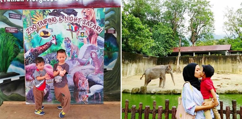 taiping-zoo.jpg