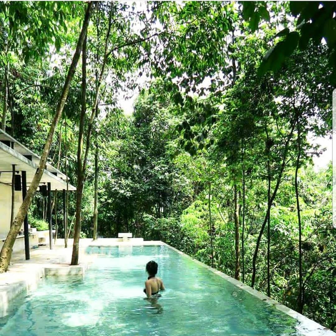 Dusuntara jungle resort