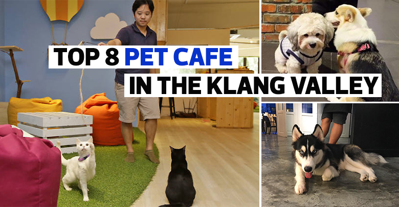 8 Pet Cafe In The Klang Valley All Animal Lovers Should Visit