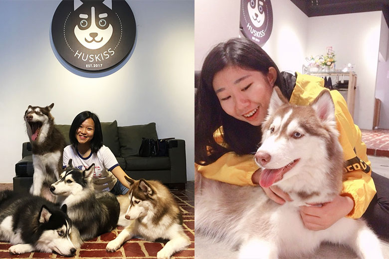 8 Pet Cafe In The Klang Valley All Animal Lovers Should Visit